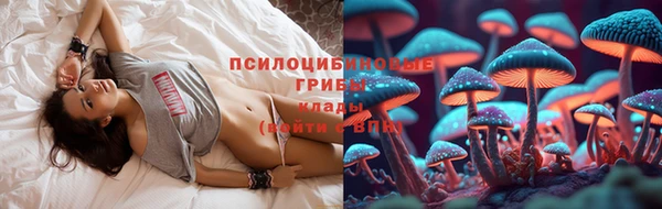 винт Дмитровск