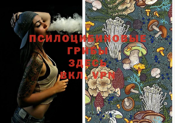 прущая мука Дмитров