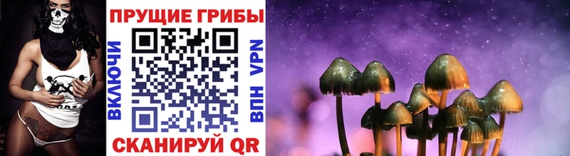 Псилоцибиновые грибы мицелий  Купить  Лахденпохья 